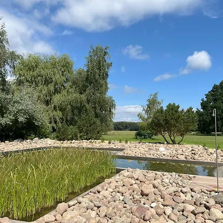 Reetdachhaus Möwe Mit Schwimmteich In